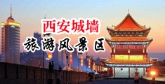 www插插插无码视频网站中国陕西-西安城墙旅游风景区